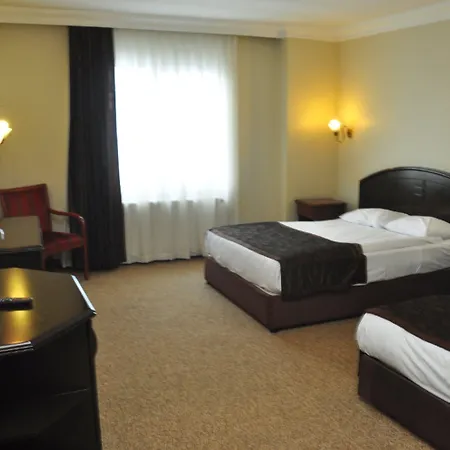 Genc Yazici Uludag Bursa